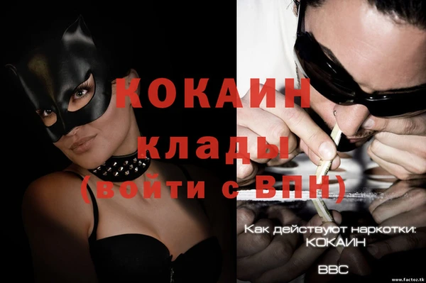 бошки Арсеньев