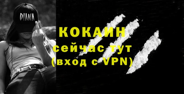 бошки Арсеньев